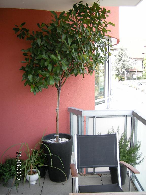 Appartement Am Salamanderpark Kornwestheim Εξωτερικό φωτογραφία